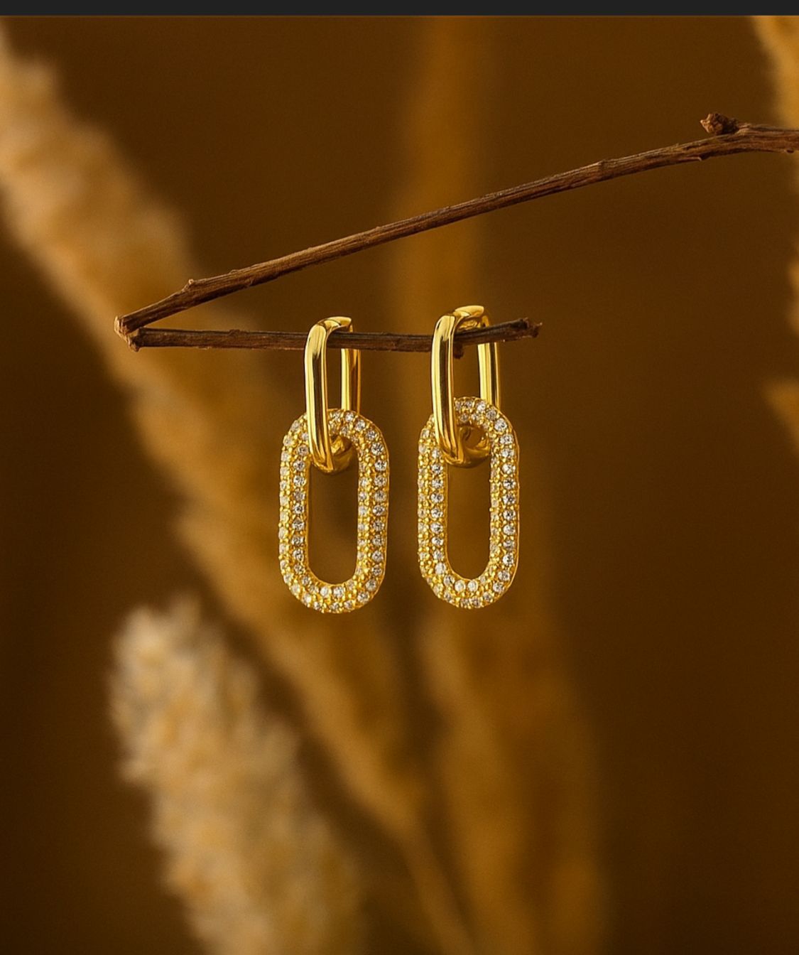 Linked Earring